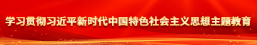 几把逼操学习贯彻习近平新时代中国特色社会主义思想主题教育